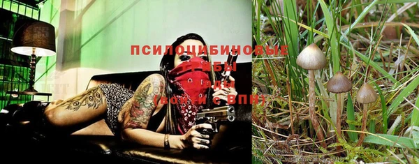 COCAINE Алзамай