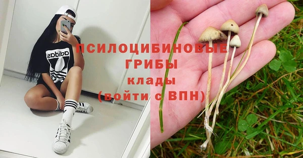 кокаин премиум Алексеевка