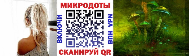 kraken зеркало  мориарти Telegram  Галлюциногенные грибы MAGIC MUSHROOMS  Пустошка 