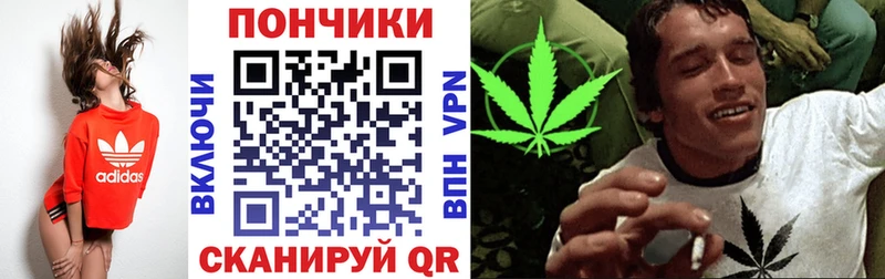 МАРИХУАНА конопля  Пустошка 